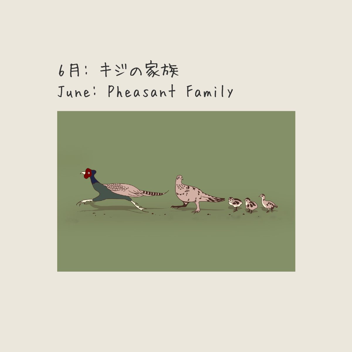 ゆっくり便（はがき便）｜里山から届く季節の絵はがき【送料込み】