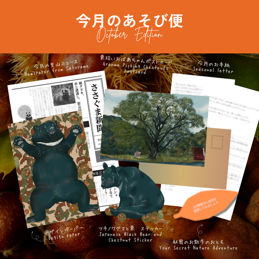 ゆっくり便（あそび便）｜月に一度、里山から届く小さな季節のおすそわけ【送料込み】